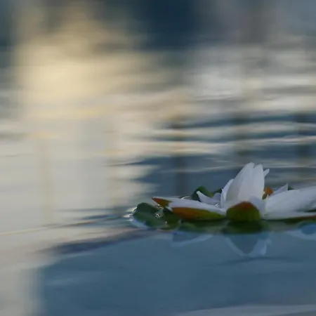 Valeev 3* 索佐波尔